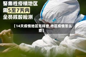 【14天疫情地区怎样查,地区疫情怎么查】