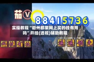 实操教程“衢州都莱网上买的挂有用吗”开挂(透视)辅助教程