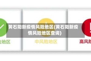 黄石阳新疫情风险地区(黄石阳新疫情风险地区查询)