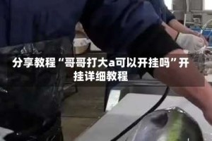 分享教程“哥哥打大a可以开挂吗”开挂详细教程