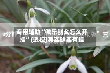 专用辅助“微乐刨幺怎么开挂”(透视)其实确实有挂-第1张图片