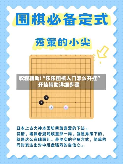 教程辅助!“乐乐围棋入门怎么开挂”开挂辅助详细步骤-第3张图片