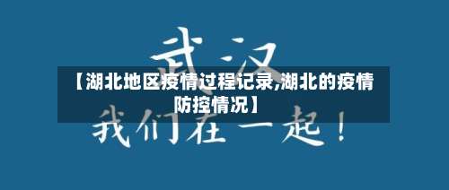 【湖北地区疫情过程记录,湖北的疫情防控情况】-第1张图片