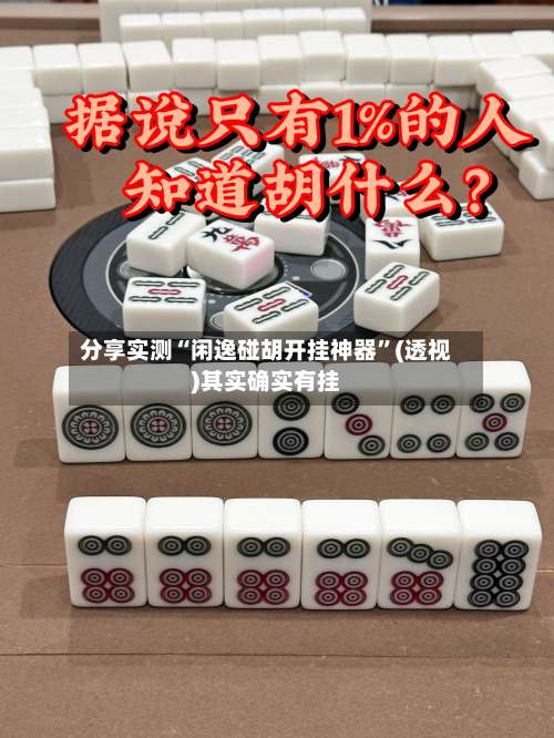 分享实测“闲逸碰胡开挂神器”(透视)其实确实有挂-第3张图片