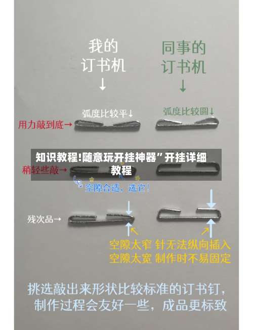 知识教程!随意玩开挂神器”开挂详细教程-第2张图片