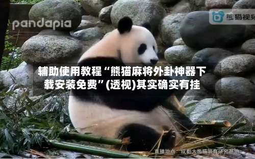 辅助使用教程“熊猫麻将外卦神器下载安装免费	”(透视)其实确实有挂-第2张图片