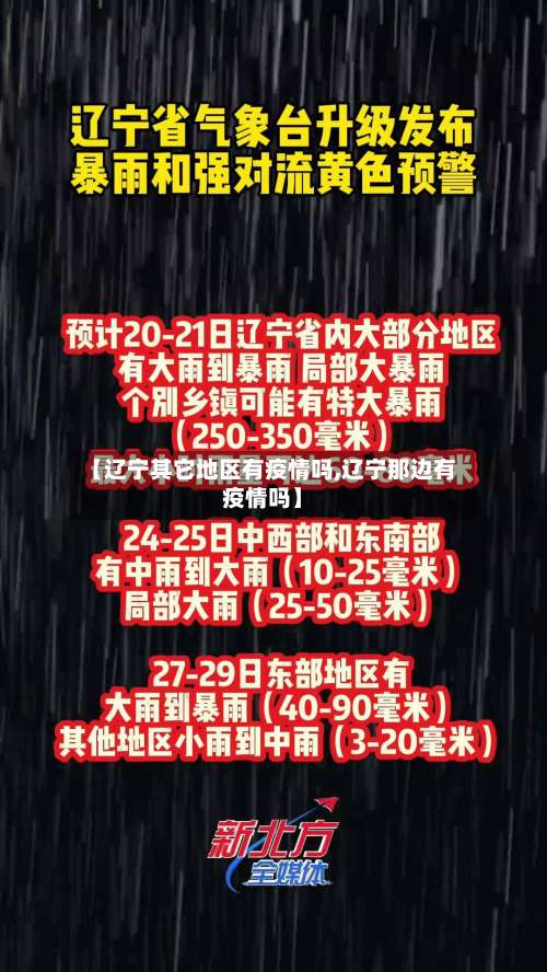 【辽宁其它地区有疫情吗,辽宁那边有疫情吗】-第1张图片