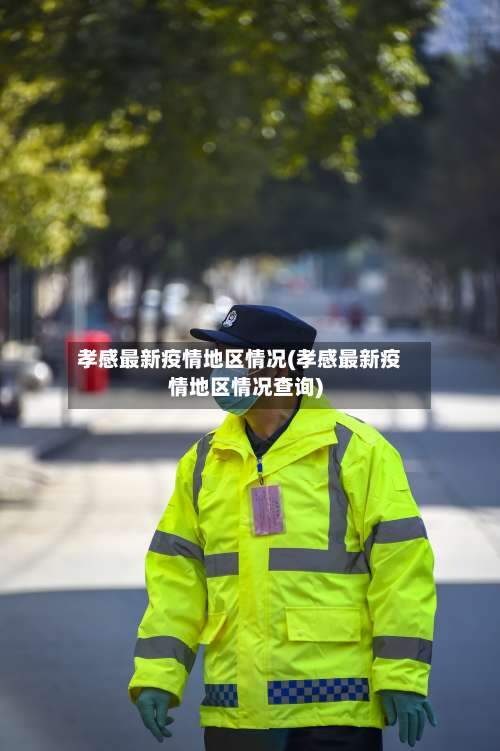 孝感最新疫情地区情况(孝感最新疫情地区情况查询)-第1张图片