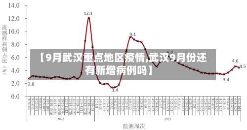 【9月武汉重点地区疫情,武汉9月份还有新增病例吗】-第3张图片