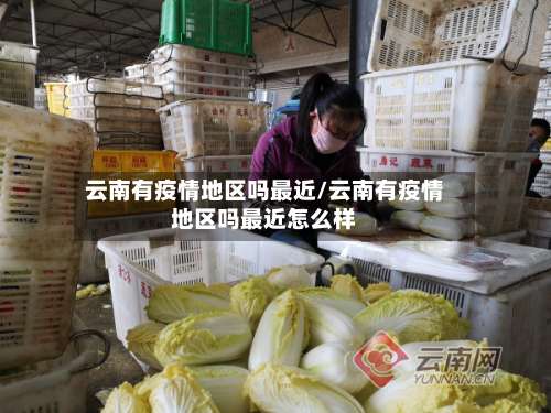 云南有疫情地区吗最近/云南有疫情地区吗最近怎么样-第1张图片