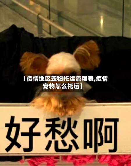 【疫情地区宠物托运流程表,疫情宠物怎么托运】-第2张图片