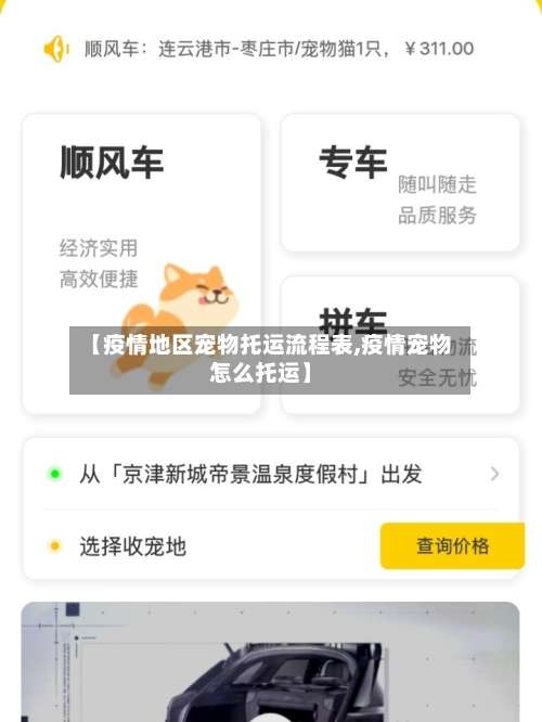 【疫情地区宠物托运流程表,疫情宠物怎么托运】-第3张图片